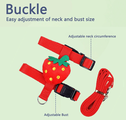 Rabbit And Small Pet Harness And Leash Set For Outdoor Walking 2
