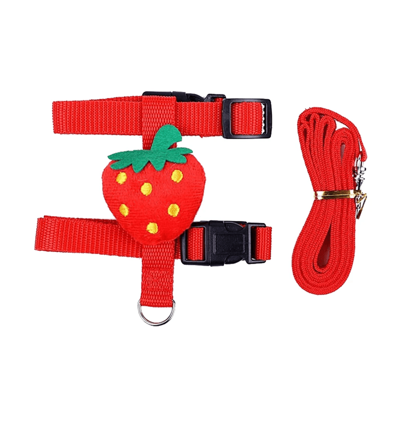 Rabbit And Small Pet Harness And Leash Set For Outdoor Walking 5