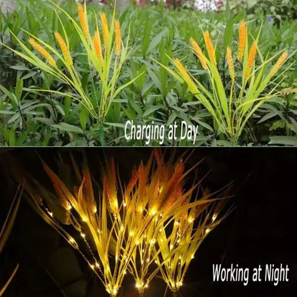 Autumn Wheat Solar Pathway Lights  DusktoDawn Waterproof Outdoor LED Walkway  Garden Lighting 2