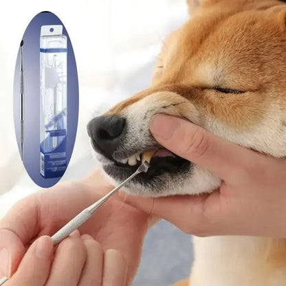 Stainless Steel Pet Dental Scraper Tooth Cleaner and Tartar Remover