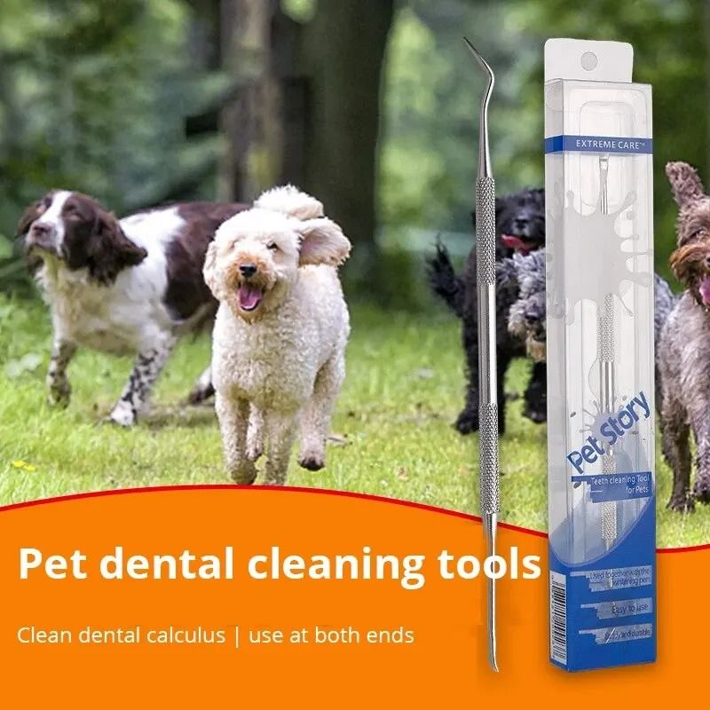 Stainless Steel Pet Dental Scraper Tooth Cleaner And Tartar Remover 1