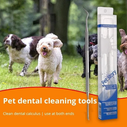 Stainless Steel Pet Dental Scraper Tooth Cleaner And Tartar Remover 1