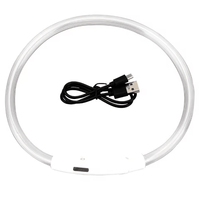 Led Usb Dog Safety Collar 8