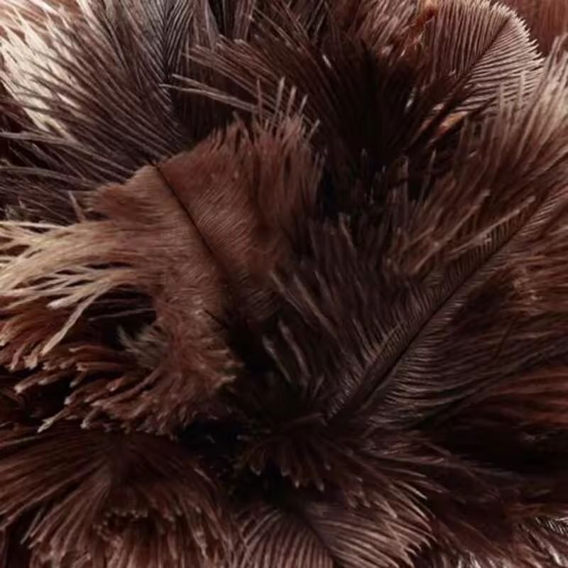 Premium WoodenHandle Ostrich Feather Duster  AntiStatic Home Dust Brush 3