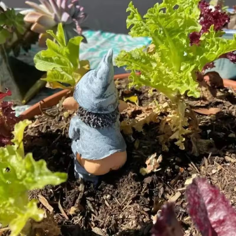 Garden Gnome Laugh  Lawn Resin Statue  Funny Gnome Garden Decor  Outdoor Ornament 3