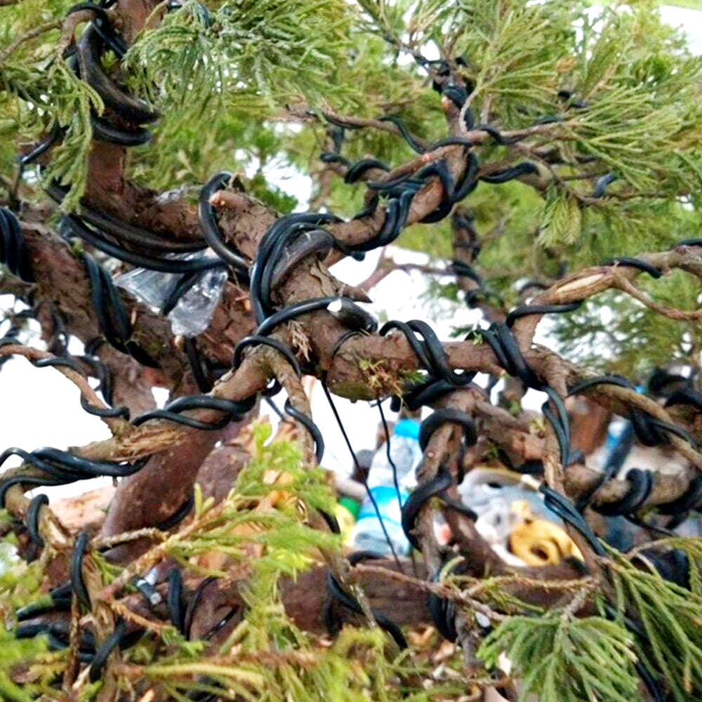 Anodized Aluminum Bonsai Training Wire Total Black Wire for Plant Shapes