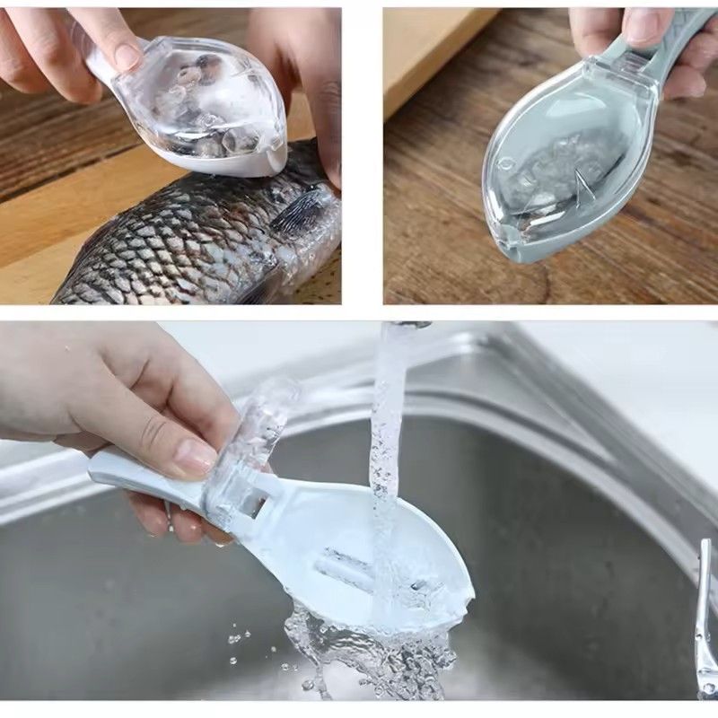 Fish Scale Remover With Safety Cover 2