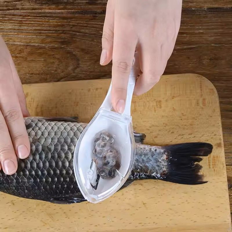 Fish Scale Remover With Safety Cover 5