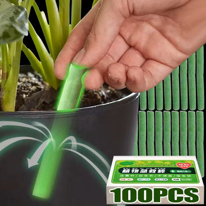 Plant Slow Release Nutrient Sticks for Indoor Potted Plants