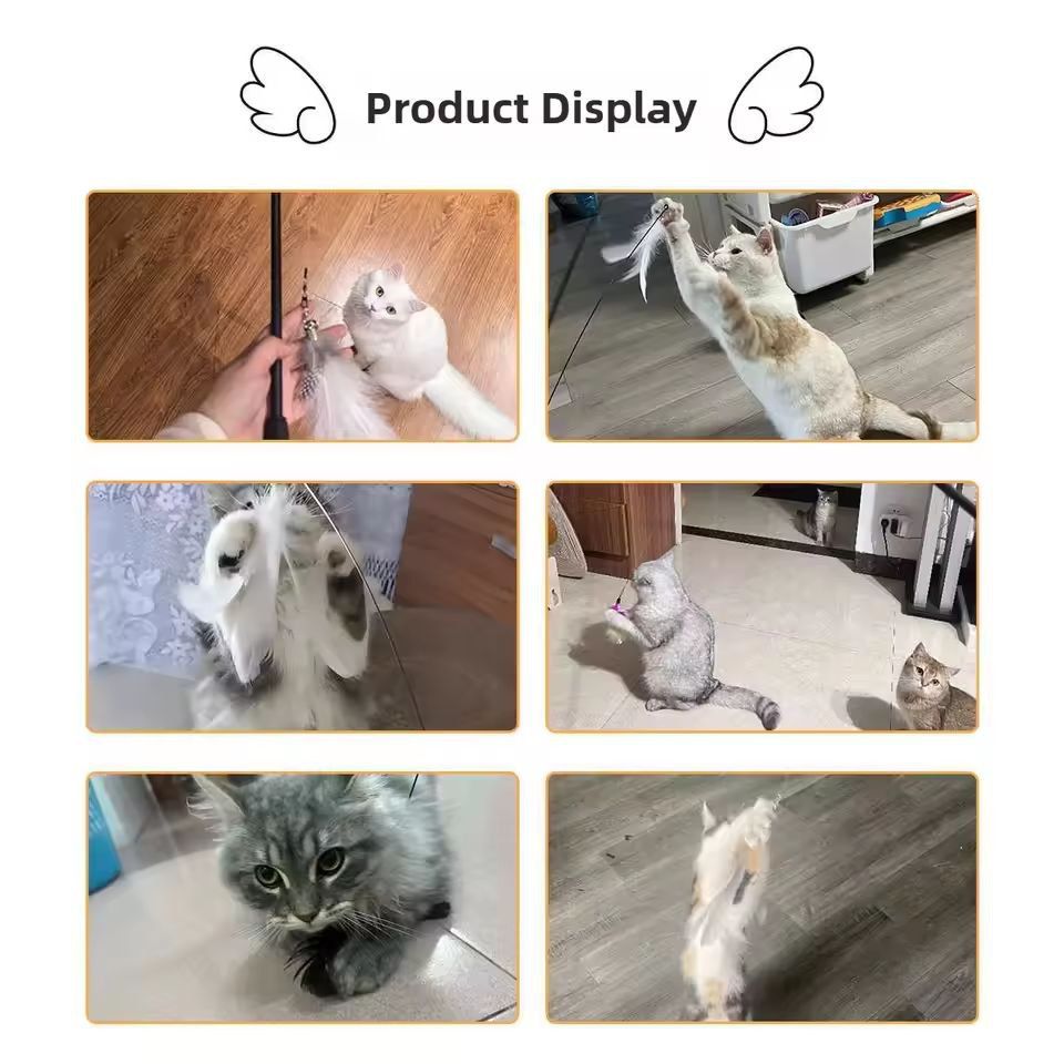 Premium Interactive Feather Wand Telescopic Cat Fishing Rod For Play  Exercise 4