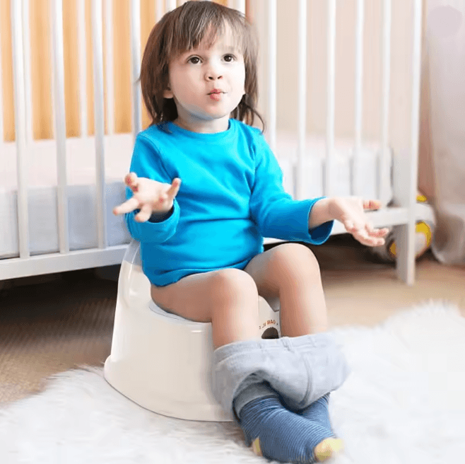 Lightweight Toddler Potty Training Seat 2