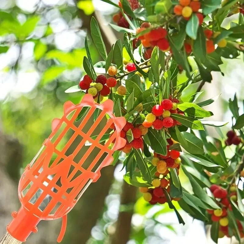 High Altitude Fruit Picker Plastic Garden Harvesting Tool For Loquat Bayberry Peach Plum And Jujube 4
