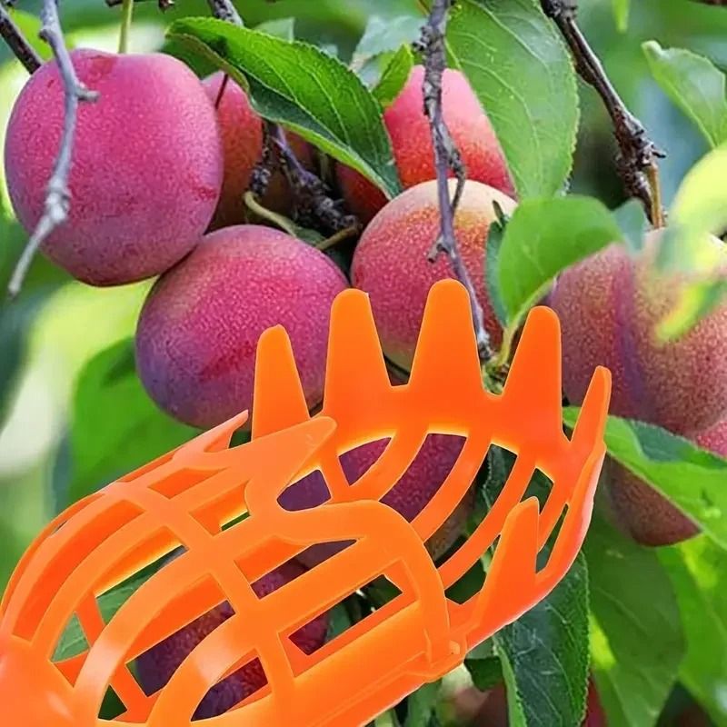 High Altitude Fruit Picker Plastic Garden Harvesting Tool For Loquat Bayberry Peach Plum And Jujube 5