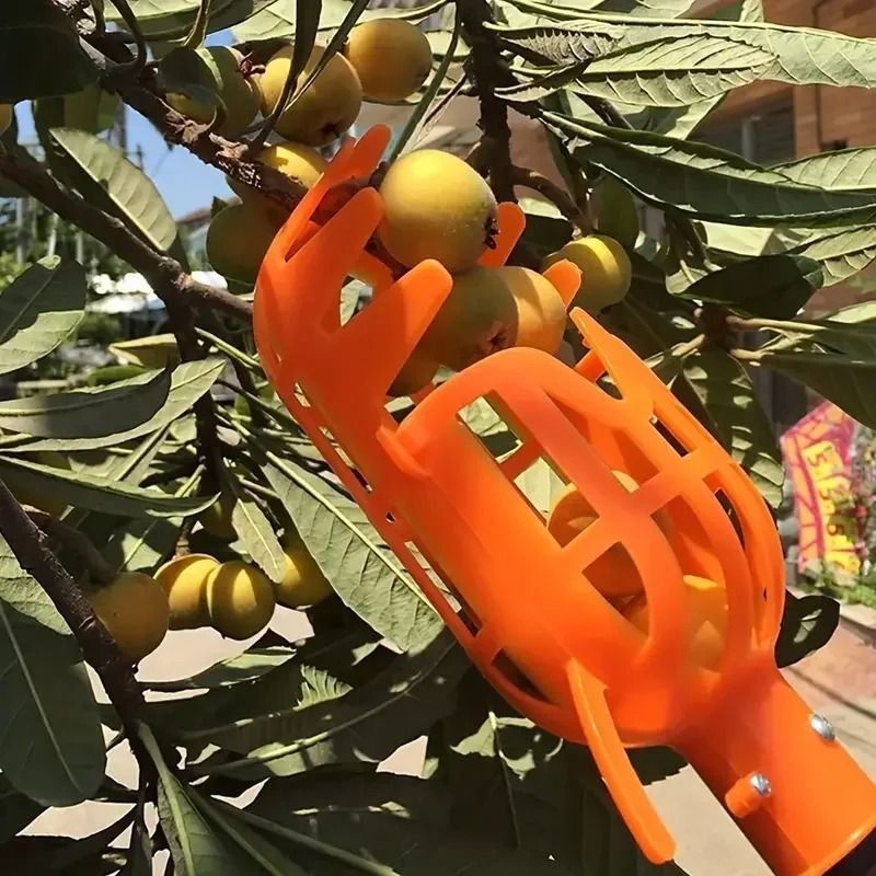 High Altitude Fruit Picker Plastic Garden Harvesting Tool For Loquat Bayberry Peach Plum And Jujube 6
