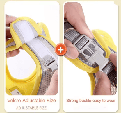 Reflective Breathable Pet Harness And Leash Set 3