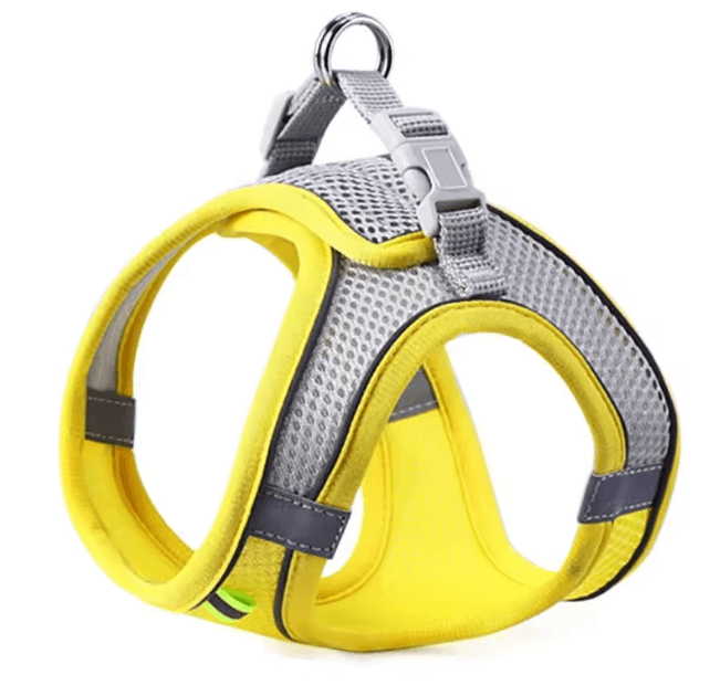 Reflective Breathable Pet Harness And Leash Set 5