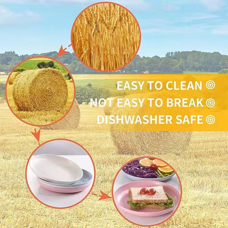 Lightweight Wheat Straw Dinner Plates Set  Unbreakable Reusable  FamilySafe Dining Plates 2