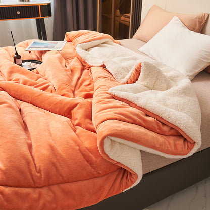 Soft Imitation Lambswool Blanket Autumn Winter Queen Blanket High Quality Milk Fleece Sofa Blanket  1