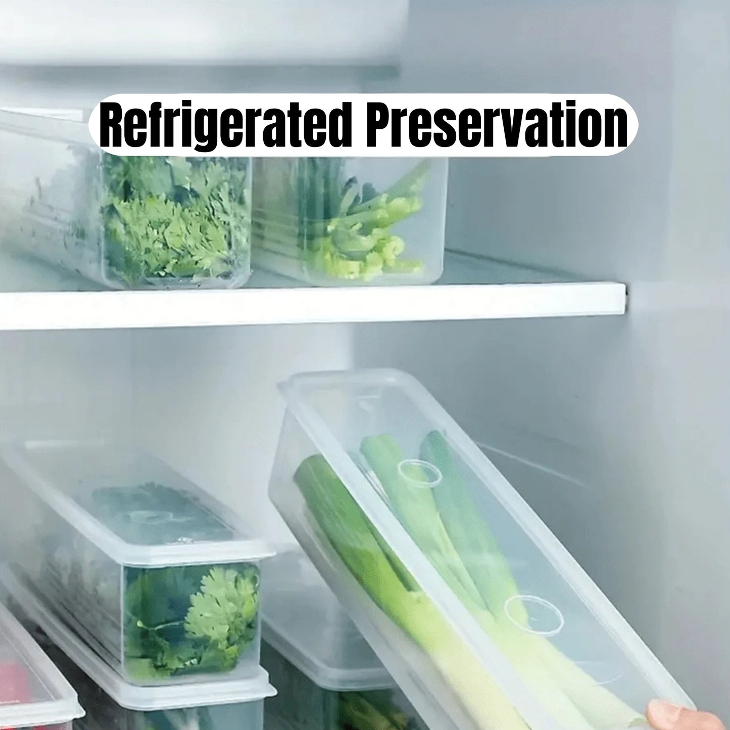 Refrigerator Storage Box With Lid Plastic Fresh Keeping Box Sealed Container For Kitchen Scallions  1