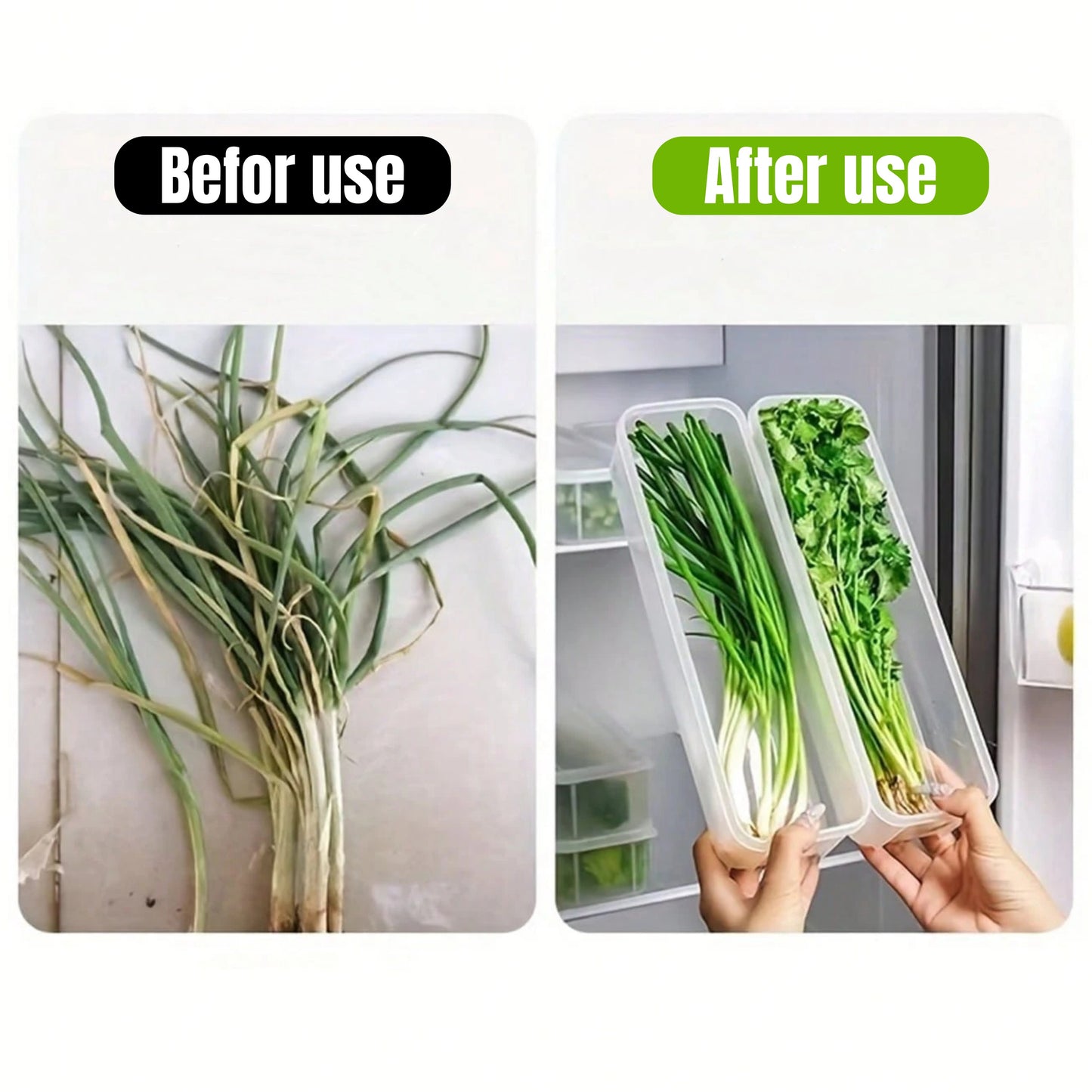 Refrigerator Storage Box With Lid Plastic Fresh Keeping Box Sealed Container For Kitchen Scallions  2