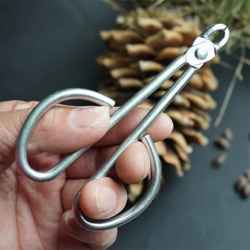 Durable Pine Nut Opener, Practical Pine Nut Clamp, Labor-saving Gadget