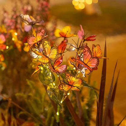 Solar LED Butterfly Flower Light 1