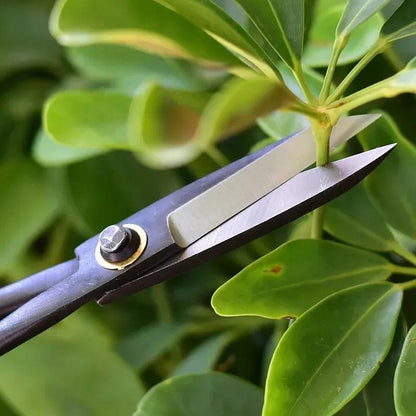 Professional Steel Long Handle Bonsai Scissors For Pruning And Garden Care 5