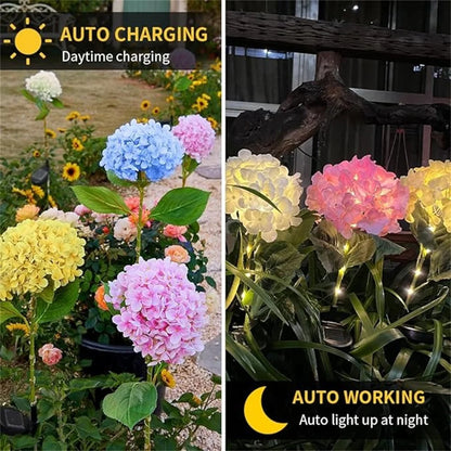 Solar Garden Light Outdoor, Waterproof LED Flowers, Hydrangea Light, Stake Light for Garden Pathway Backyard Decorative