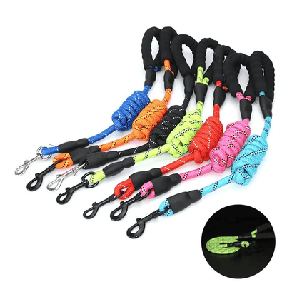 Ultimate Comfort Reflective Dog Leash For Strong Dogs 4