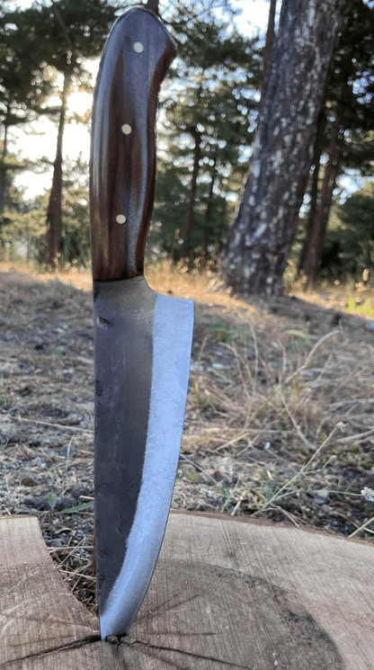 buynow stainless steel dagger knife leather sheath