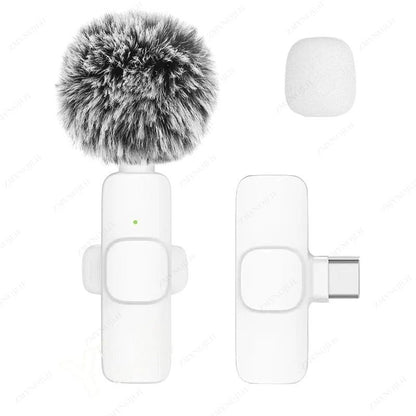 Wireless Lavalier Microphone Portable Mini Audio Recording Mic For Phone And Camera 7