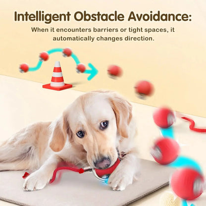 Automatic Rolling Pet Ball With Tail  Rechargeable Smart Interactive Toy For Cats  Dogs 4