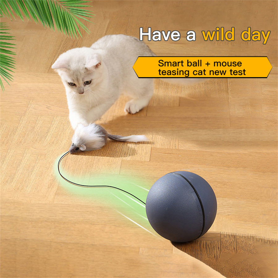 BatteryPowered Interactive Cat Toy Ball With Tracking Mouse  Automatic Rolling Teaser For Cats Of A 1