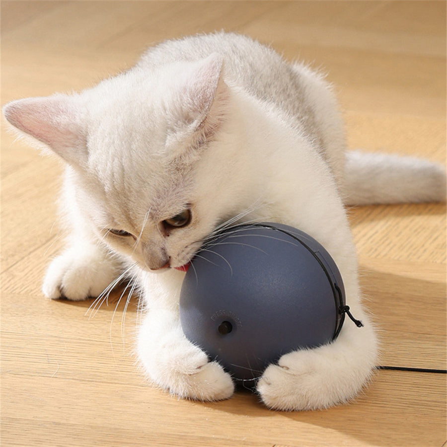 BatteryPowered Interactive Cat Toy Ball With Tracking Mouse  Automatic Rolling Teaser For Cats Of A 3