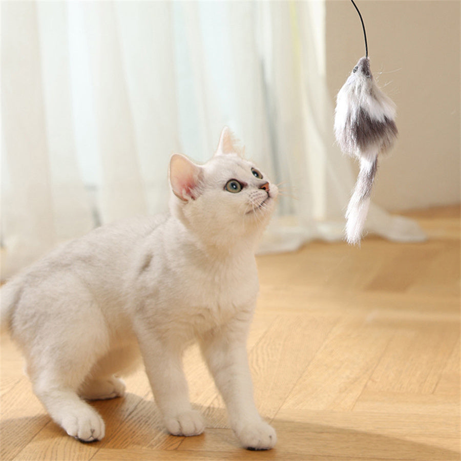BatteryPowered Interactive Cat Toy Ball With Tracking Mouse  Automatic Rolling Teaser For Cats Of A 4