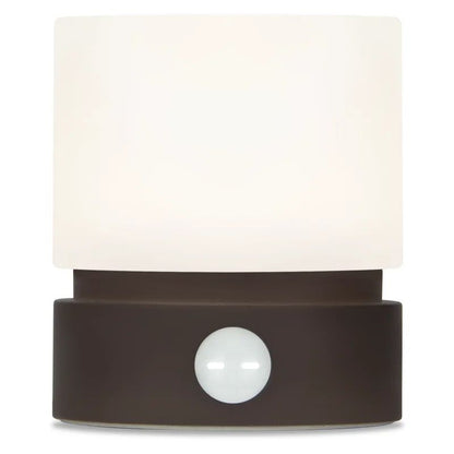 Minimalist Rotating LED Night Light  Table  Desk Lamp With Timer 13