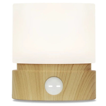Minimalist Rotating LED Night Light  Table  Desk Lamp With Timer 15