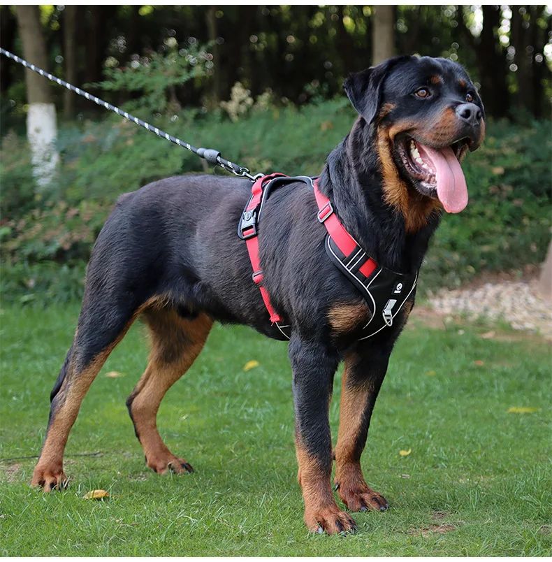 Reflective Tactical Dog Harness  Waterproof 1680D Oxford Vest For Medium  Large Dogs 15