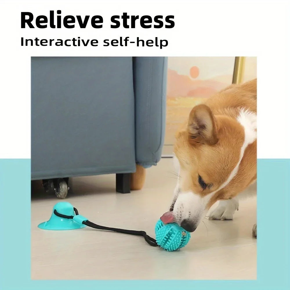 Durable Rubber Training Ball For Dogs Interactive Suction Cup Toy With Sound And Food Leakage 1