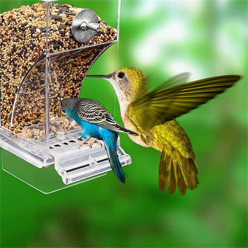 Acrylic Automatic Bird Feeder, No Mess Food Container for Parakeets, Budgerigar, Parrot Cage Accessories