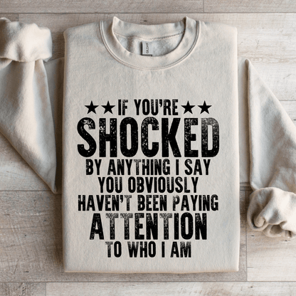 If Youre Shocked By Anything Sweatshirt 4