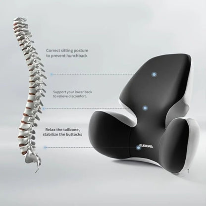 ComfortRide Lumbar Support Cushion  Premium Car  Office Back Support 1