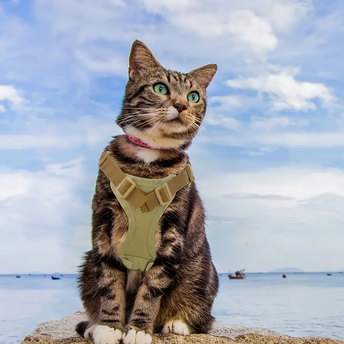 Khaki Tactical EscapeProof Cat Walking Vest  Adjustable Leash Set 3