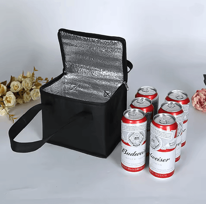 Portable Insulated Lunch and Cooler Bag