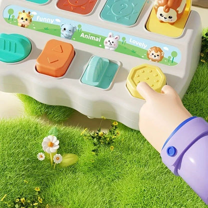 Montessori PopUp Animal Toy  Interactive Learning Box For Toddlers To Enhance Logic And Motor Skill 3