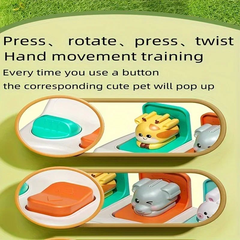 Montessori PopUp Animal Toy  Interactive Learning Box For Toddlers To Enhance Logic And Motor Skill 5