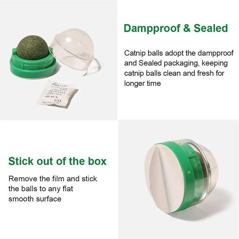 Natural Catnip Scratching For Cats Therapeutic Healthy Scraper Toy Cat Wall Sticker Ball Pet Produc 4