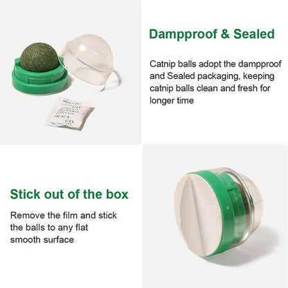 Natural Catnip Scratching For Cats Therapeutic Healthy Scraper Toy Cat Wall Sticker Ball Pet Produc 4