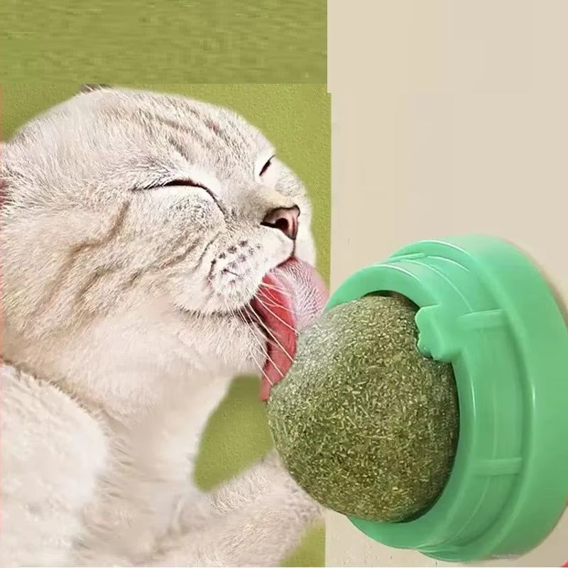 Natural Catnip Scratching for Cats, Therapeutic Healthy Scraper Toy, Cat Wall Sticker Ball, Pet Products for Scrapers