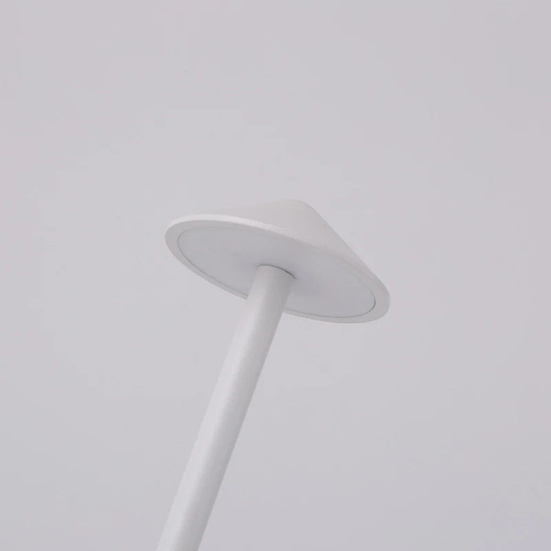 Rechargeable LED Table Lamp with Touch Sensor and Dimming for Bedroom, Hotel, Restaurant